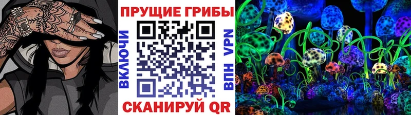 кракен онион  магазин  наркотиков  Курильск  Галлюциногенные грибы Cubensis 